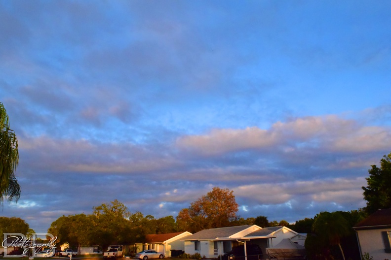 20220102095525-51391b24