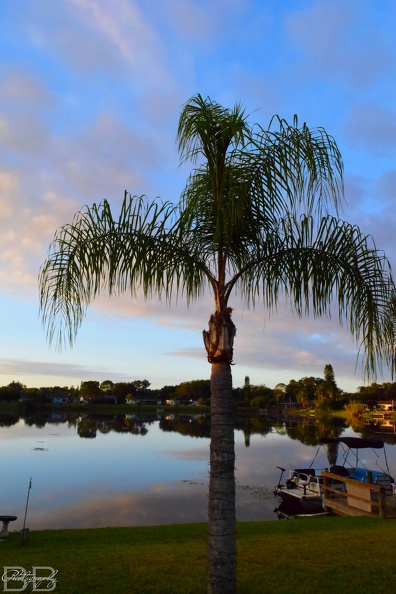 20220102095936-74a24bb4