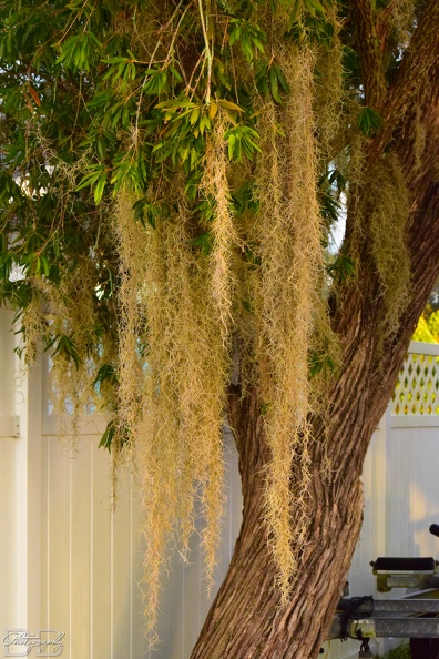 20220102100234-e527b812