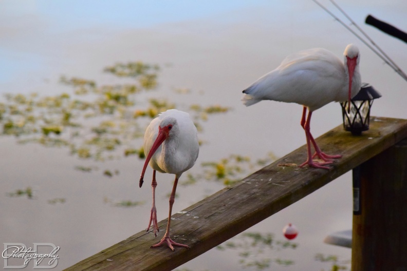 20220102100546-9496e946