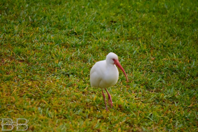 20220102100625-d994e1e9