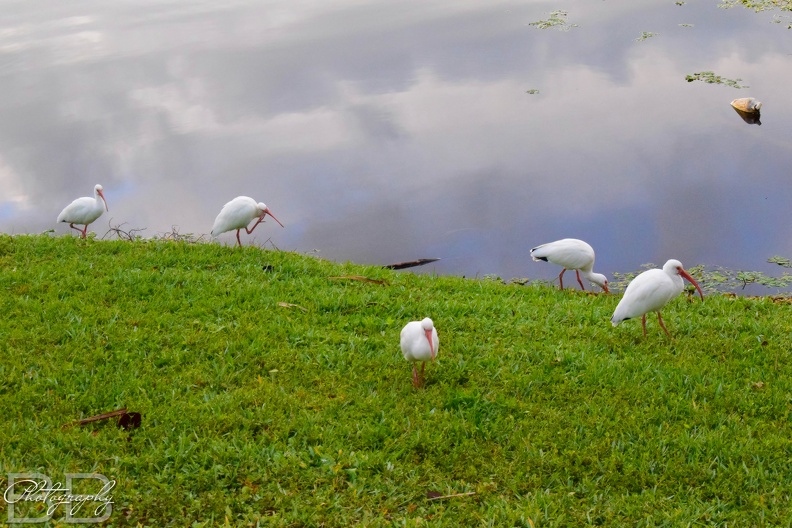 20220102101007-fc84a403