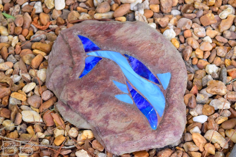 20220102102025-7897c09f