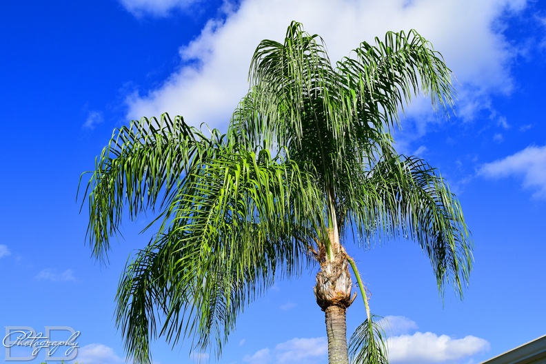 20220102103401-04b11dc4