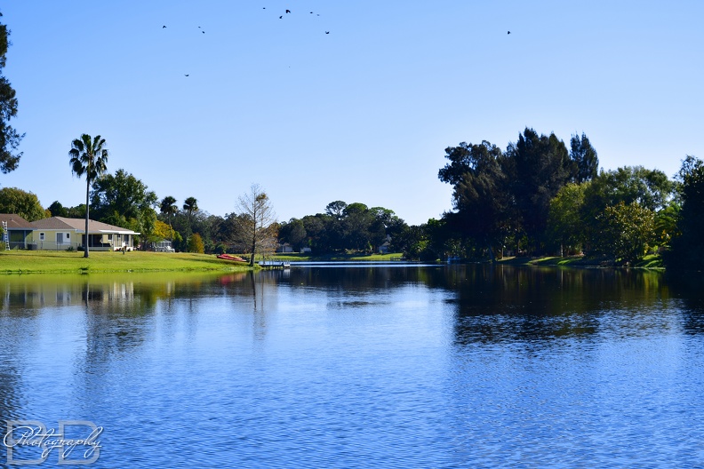 20220102104816-81b753f3