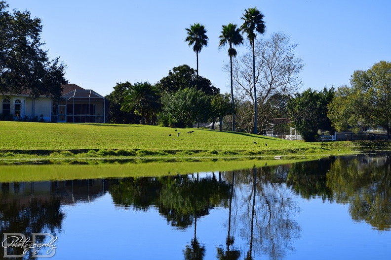 20220102105113-9b929ae1