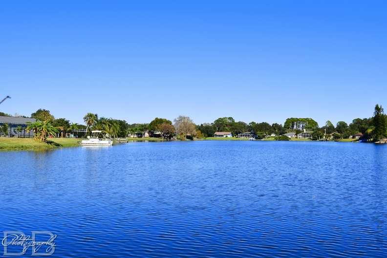 20220102105238-8ae36e19