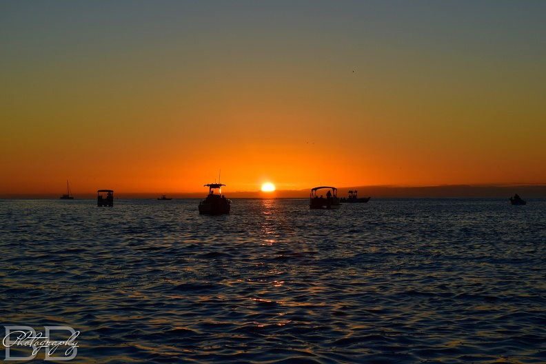 20220102114033-d0cd6596