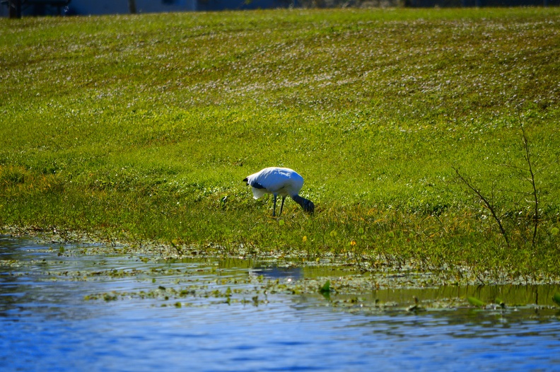 20220102120435-2762dbd3