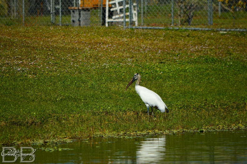 20220102134824-bf931961