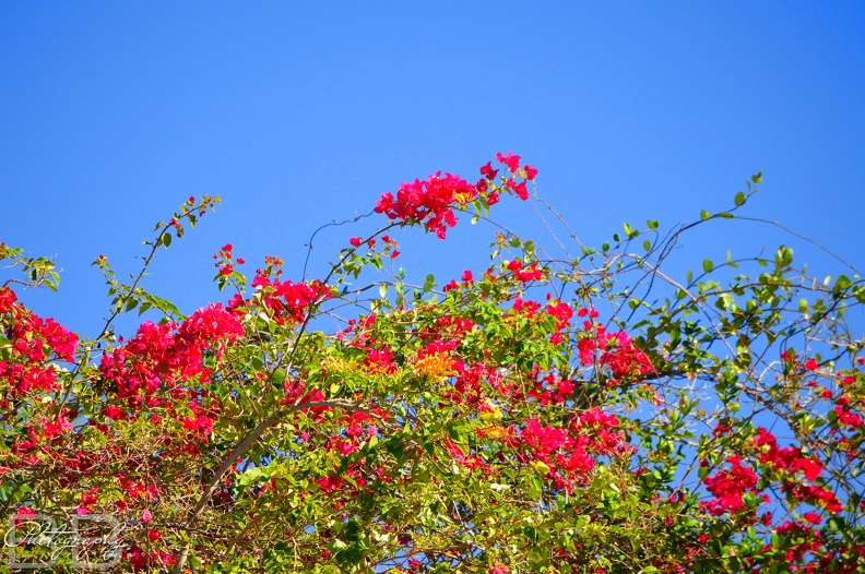 20220102141054-f05fd3a6