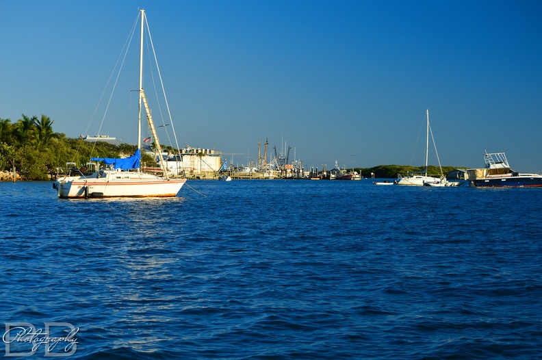 20220102143247-e7cddfa6