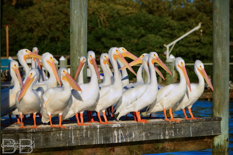 20220102144009-24763430