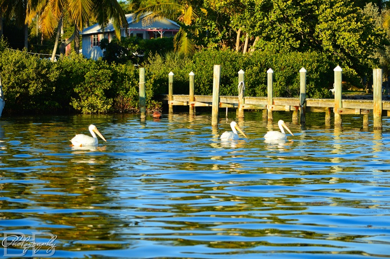 20220102144125-62e0275e