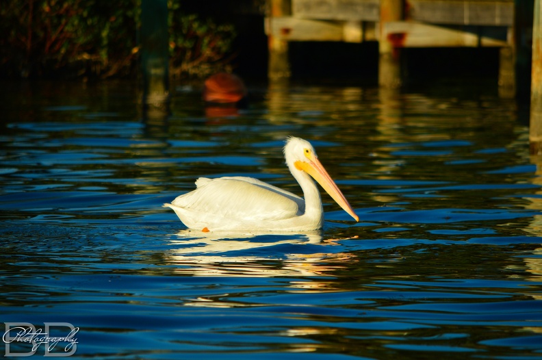 20220102144152-3fabd2ac