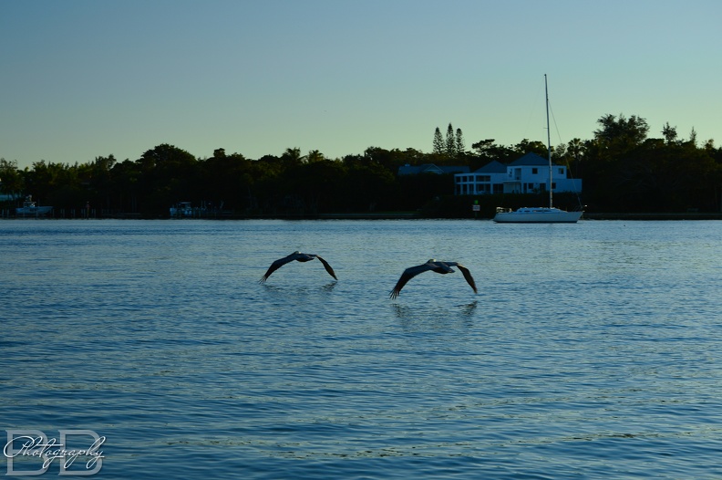 20220102144745-ba212eaa