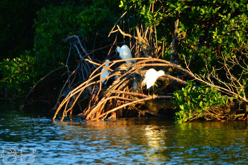 20220102145417-464046e9