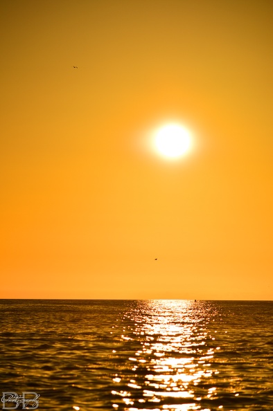 20220102154010-0ae71ff5