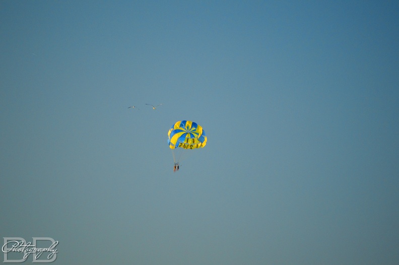 20220102154258-4cf56cf7